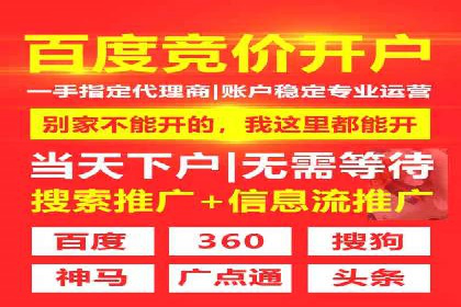 行业新秀的关键词竞价排名之路：快速崛起的案例